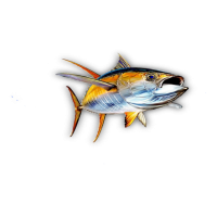 Риба Тон "Жълта Перка"